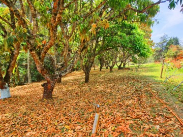 Terreno em Condomnio  Venda